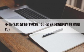 河南小菊花网站制作教程（小菊花网站制作教程图片）