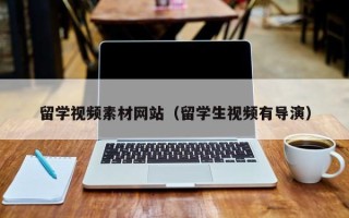 河南留学视频素材网站（留学生视频有导演）