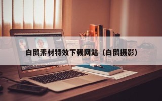 河南白鹅素材特效下载网站（白鹅摄影）